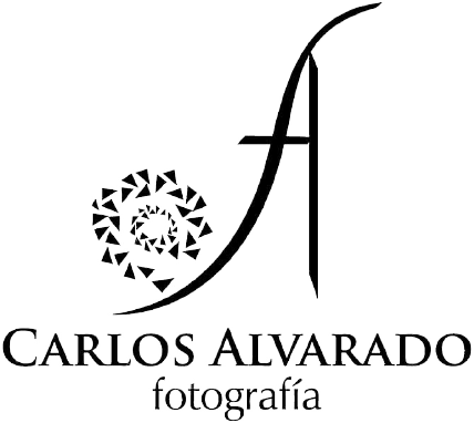 Carlos Alvarado Fotografía